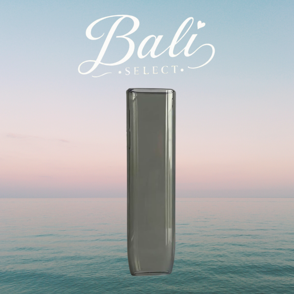 【BALI🍄】全家初階保護套 8代適用 半透明外殼 附黑掛繩 質感保護 防刮防摔 矽膠保護殼 撞色設計 台灣現貨